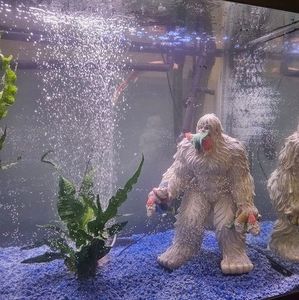 Meet your Posher, Cassandra